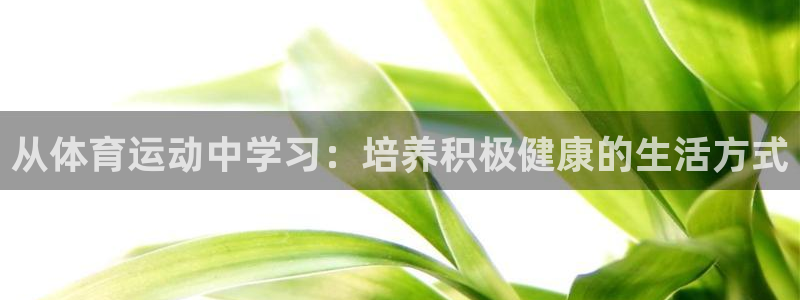v站体育app下载安卓：从体育运动中学习：培养积极健康的生活方式