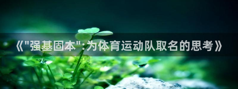v站体育app：《\