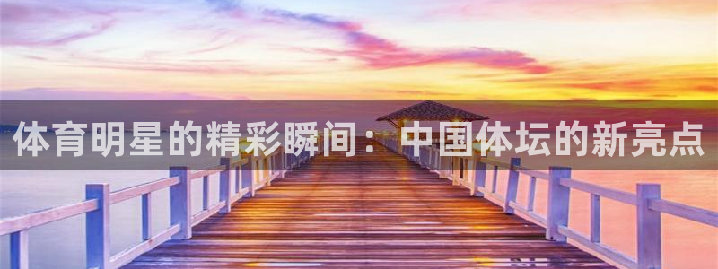 v站体育官网登录：体育明星的精彩瞬间：中国体坛的新亮点